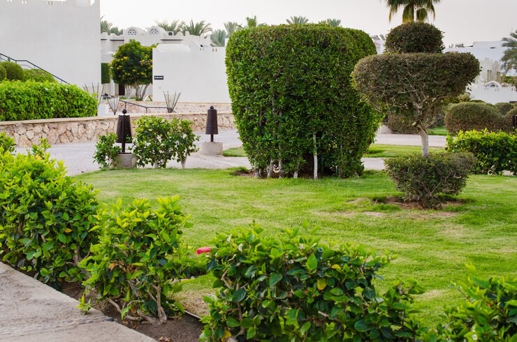 פרויקטים מגוונים